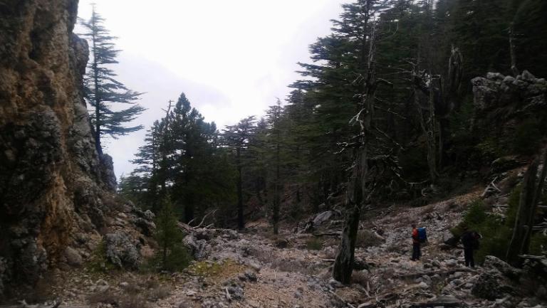 Kemer - Beycik - Alacasu - Tahtalı